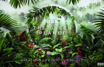 BBC¼Ƭ ɫ The Green Planet (2022) Ӣİȫ5ӢӢĻ4KƵMKV