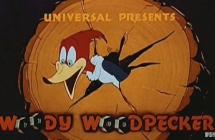 ľ Woody Woodpecker Ӣİȫ23Ӣָ1080PƵMP4ٶ