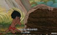 ɭ The Jungle Book Ӣ/Ļ ޸1080PƵMKVٶ