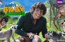ϵĶﱦ Andy's Baby Animals İȫ201080PƵMP4+ƵMP3