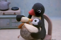 ŷ|1986| Pingu|1-6156|DVDϼ|ЦƬ|ٶ