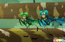 [ӢĻ]ֵܣصĶ磩Wild Kratts ļȫ26 720P ٶ