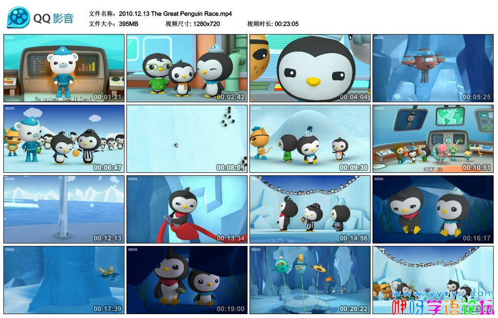 2010.12.13 The Great Penguin Race.mp4_thumbs_2018.04.12.16_03_57.jpg