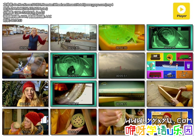 Do.You.Know.S01E01.Hamster.Wheel.and.Insect.Hotel.[www.yyxyu.com].mp4.jpg