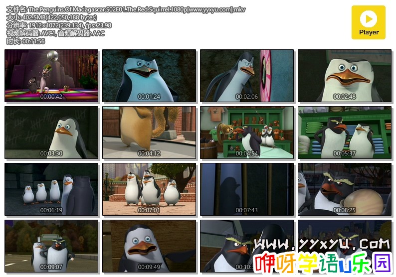 The.Penguins.Of.Madagascar.S02E01.The.Red.Squirrel.1080p[www.yyxyu.com].mkv.jpg