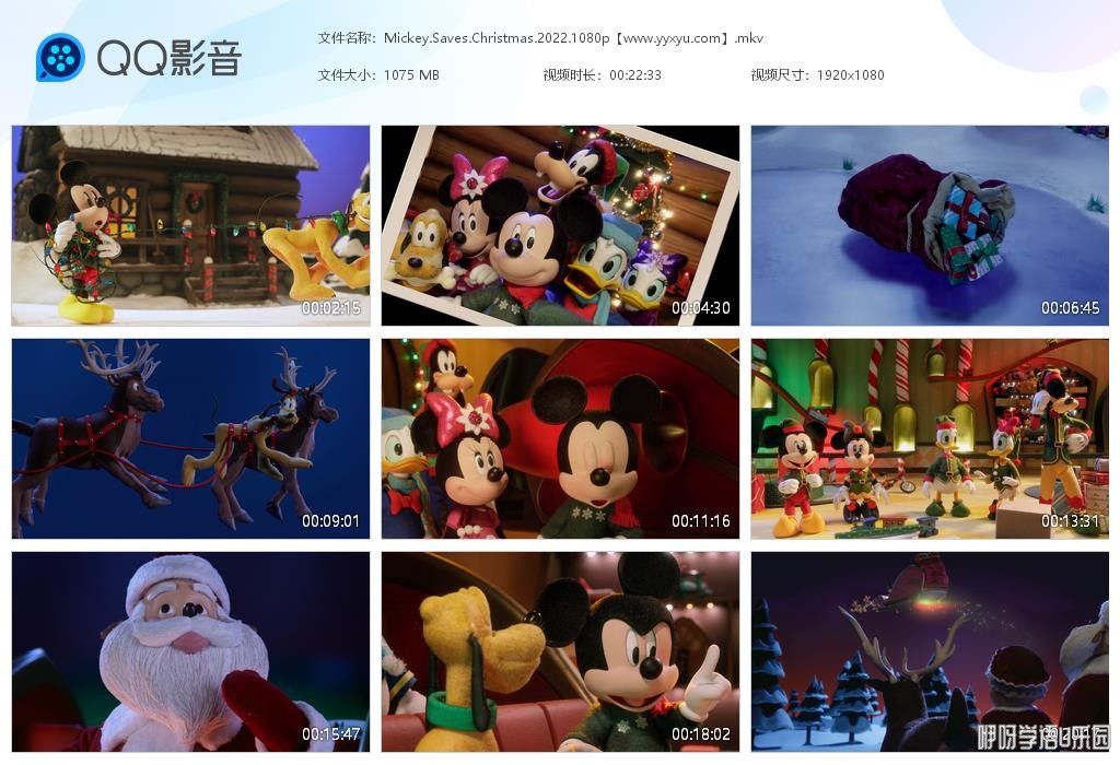 Mickey[20241028-141454].jpg