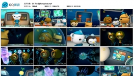 Сݶ Octonauts ӢӢĻ 3-428 ͯƬ 720P ٶ