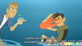 PSB˶ͯ:ֵ Wild Kratts Ӣİڰ˼ȫ10 ӢĻ 1080P